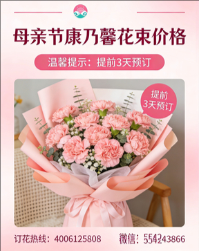 遂宁安居区花店母亲节康乃馨花束