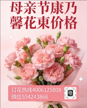 遂宁安居区花店母亲节康乃馨花束
